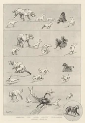 Ein Fremder in einem fremden Land